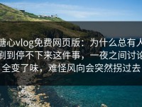 糖心vlog免费网页版：为什么总有人刷到停不下来这件事，一夜之间讨论全变了味，难怪风向会突然拐过去