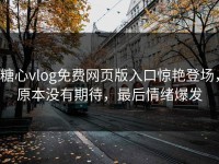 糖心vlog免费网页版入口惊艳登场，原本没有期待，最后情绪爆发
