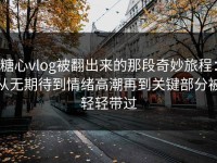 糖心vlog被翻出来的那段奇妙旅程：从无期待到情绪高潮再到关键部分被轻轻带过