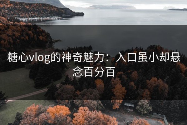 糖心vlog的神奇魅力：入口虽小却悬念百分百