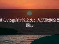 糖心vlog的讨论之火：从沉默到全面回归