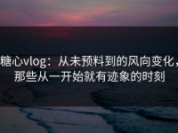 糖心vlog：从未预料到的风向变化，那些从一开始就有迹象的时刻