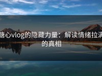 糖心vlog的隐藏力量：解读情绪拉满的真相