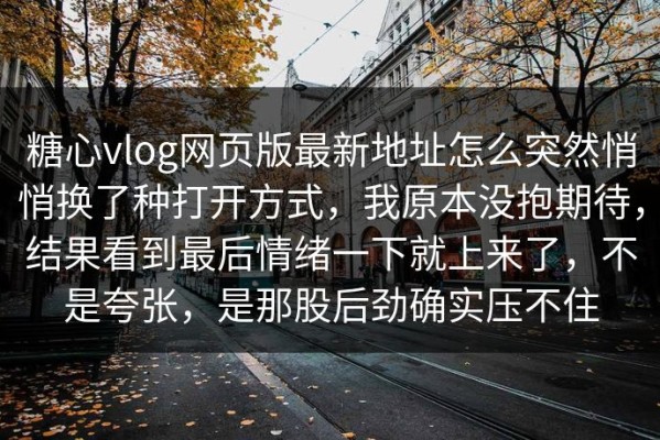 糖心vlog网页版最新地址怎么突然悄悄换了种打开方式，我原本没抱期待，结果看到最后情绪一下就上来了，不是夸张，是那股后劲确实压不住