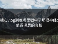 糖心vlog到底哪里戳中了那根神经：值得深思的真相