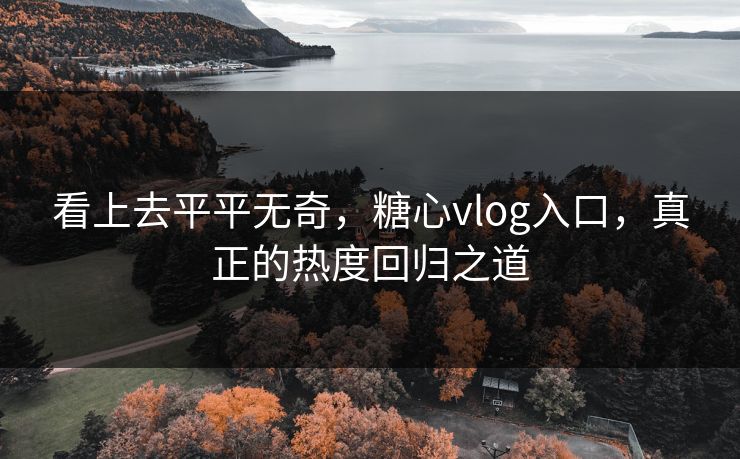 看上去平平无奇，糖心vlog入口，真正的热度回归之道