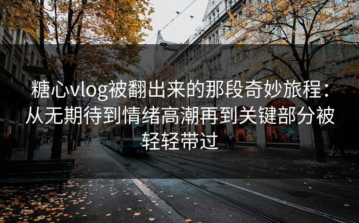 糖心vlog被翻出来的那段奇妙旅程:从无期待到情绪高潮再到关键部分被轻轻带过 糖心vlog被翻出来的那段奇妙旅程:从无期待到情绪高潮再到关键部分被轻轻带过
