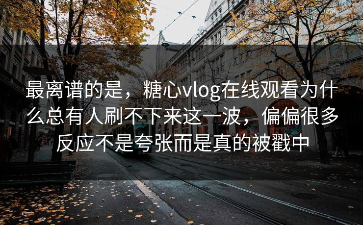 最离谱的是，糖心vlog在线观看为什么总有人刷不下来这一波，偏偏很多反应不是夸张而是真的被戳中