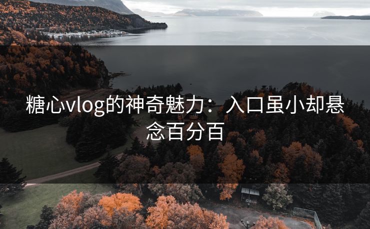 糖心vlog的神奇魅力：入口虽小却悬念百分百