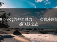 糖心vlog的神奇魅力：一次意外的情感飞跃之旅
