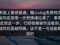 表面上看很普通，糖心vlog免费网页版到底是哪一步把情绪拉满了：事情走到这一步，已经很难装作没看到，越到后面越明确，这不是一句话能概括的
