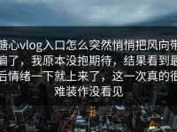 糖心vlog入口怎么突然悄悄把风向带偏了，我原本没抱期待，结果看到最后情绪一下就上来了，这一次真的很难装作没看见