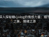 深入探秘糖心vlog的情感力量：细节之美，情绪之源