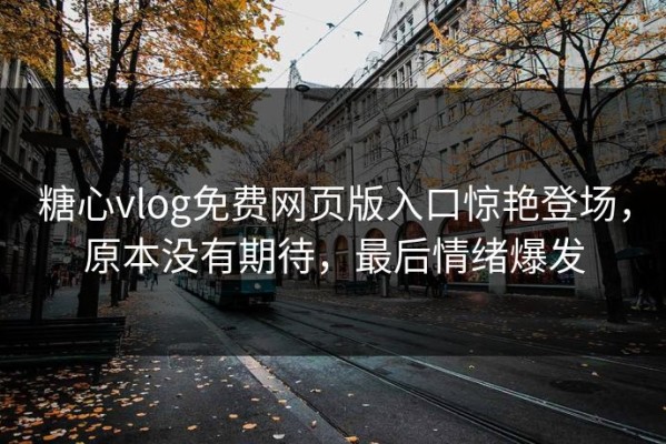 糖心vlog免费网页版入口惊艳登场，原本没有期待，最后情绪爆发