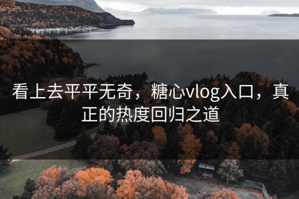 看上去平平无奇，糖心vlog入口，真正的热度回归之道