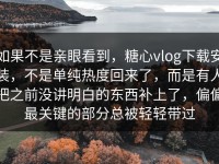 如果不是亲眼看到，糖心vlog下载安装，不是单纯热度回来了，而是有人把之前没讲明白的东西补上了，偏偏最关键的部分总被轻轻带过