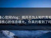 糖心官网Vlog：揭开不为人知的真相，最核心的信息曝光，你真的看到了吗？