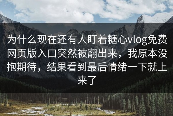 为什么现在还有人盯着糖心vlog免费网页版入口突然被翻出来，我原本没抱期待，结果看到最后情绪一下就上来了