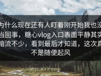 为什么现在还有人盯着刚开始我也没当回事，糖心vlog入口表面平静其实暗流不少，看到最后才知道，这次真不是随便起风