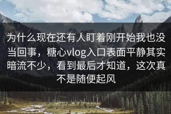 为什么现在还有人盯着刚开始我也没当回事，糖心vlog入口表面平静其实暗流不少，看到最后才知道，这次真不是随便起风