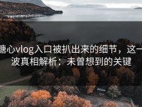 糖心vlog入口被扒出来的细节，这一波真相解析：未曾想到的关键
