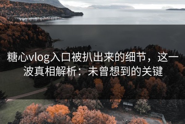 糖心vlog入口被扒出来的细节，这一波真相解析：未曾想到的关键