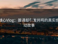 糖心Vlog：普通却引发共鸣的真实感动故事