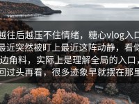 越往后越压不住情绪，糖心vlog入口最近突然被盯上最近这阵动静，看似边角料，实际上是理解全局的入口，回过头再看，很多迹象早就摆在那里