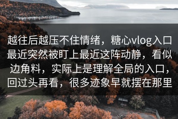 越往后越压不住情绪，糖心vlog入口最近突然被盯上最近这阵动静，看似边角料，实际上是理解全局的入口，回过头再看，很多迹象早就摆在那里