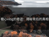 糖心vlog的奇迹：揭秘背后的真相