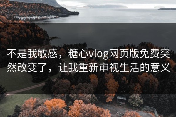 不是我敏感，糖心vlog网页版免费突然改变了，让我重新审视生活的意义