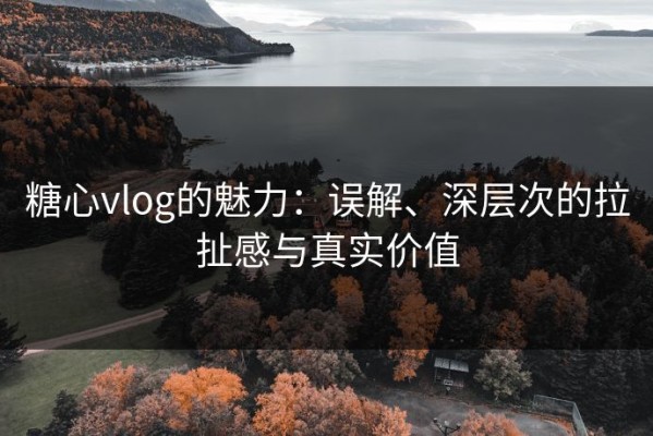 糖心vlog的魅力：误解、深层次的拉扯感与真实价值