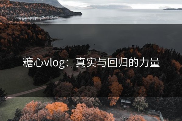 糖心vlog：真实与回归的力量