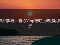 真相揭晓：糖心Vlog被盯上的那段日子