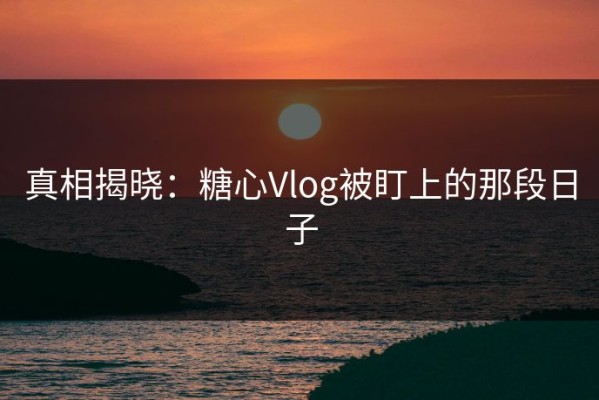 真相揭晓：糖心Vlog被盯上的那段日子