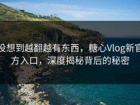 没想到越翻越有东西，糖心Vlog新官方入口，深度揭秘背后的秘密