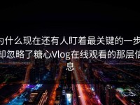为什么现在还有人盯着最关键的一步，却忽略了糖心Vlog在线观看的那层信息