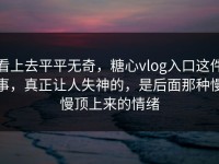 看上去平平无奇，糖心vlog入口这件事，真正让人失神的，是后面那种慢慢顶上来的情绪