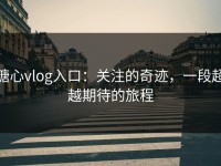 糖心vlog入口：关注的奇迹，一段超越期待的旅程