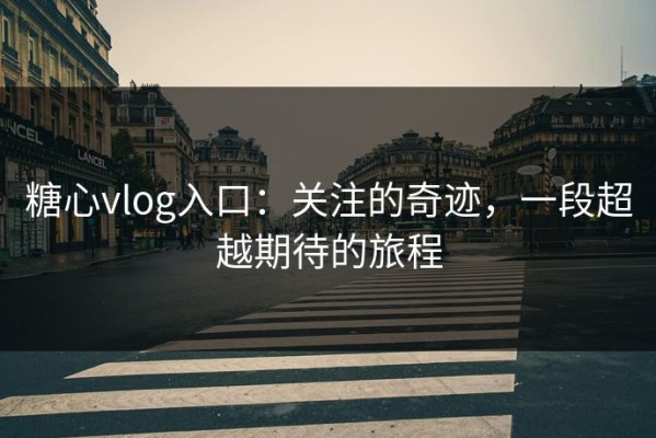 糖心vlog入口：关注的奇迹，一段超越期待的旅程