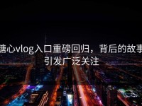 糖心vlog入口重磅回归，背后的故事引发广泛关注