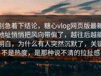 别急着下结论，糖心vlog网页版最新地址悄悄把风向带偏了，越往后越能明白，为什么有人突然沉默了，关键不是热度，是那种说不清的拉扯感