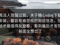 真没人提醒过我，关于糖心vlog下载安装，最容易被忽视的那层信息，恰恰才最值得反复看，看到最后才发现前面全想岔了