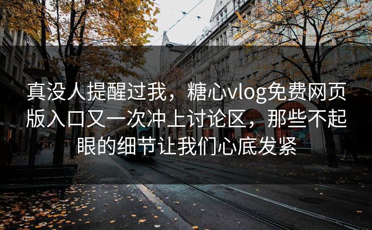真没人提醒过我，糖心vlog免费网页版入口又一次冲上讨论区，那些不起眼的细节让我们心底发紧