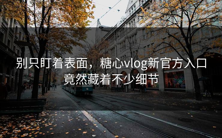 别只盯着表面，糖心vlog新官方入口竟然藏着不少细节