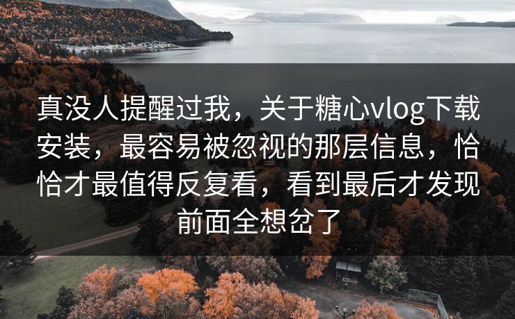真没人提醒过我，关于糖心vlog下载安装，最容易被忽视的那层信息，恰恰才最值得反复看，看到最后才发现前面全想岔了