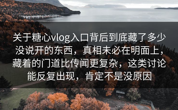 关于糖心vlog入口背后到底藏了多少没说开的东西，真相未必在明面上，藏着的门道比传闻更复杂，这类讨论能反复出现，肯定不是没原因
