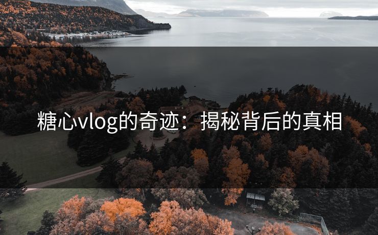 糖心vlog的奇迹：揭秘背后的真相