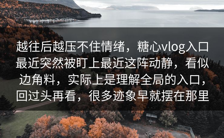 越往后越压不住情绪，糖心vlog入口最近突然被盯上最近这阵动静，看似边角料，实际上是理解全局的入口，回过头再看，很多迹象早就摆在那里