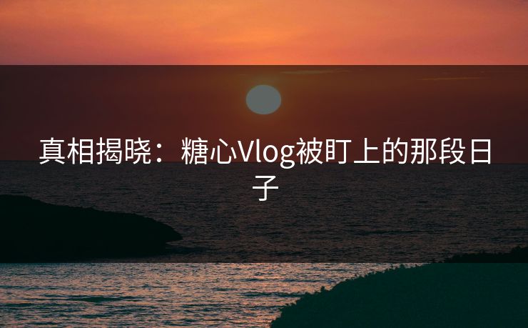 真相揭晓：糖心Vlog被盯上的那段日子